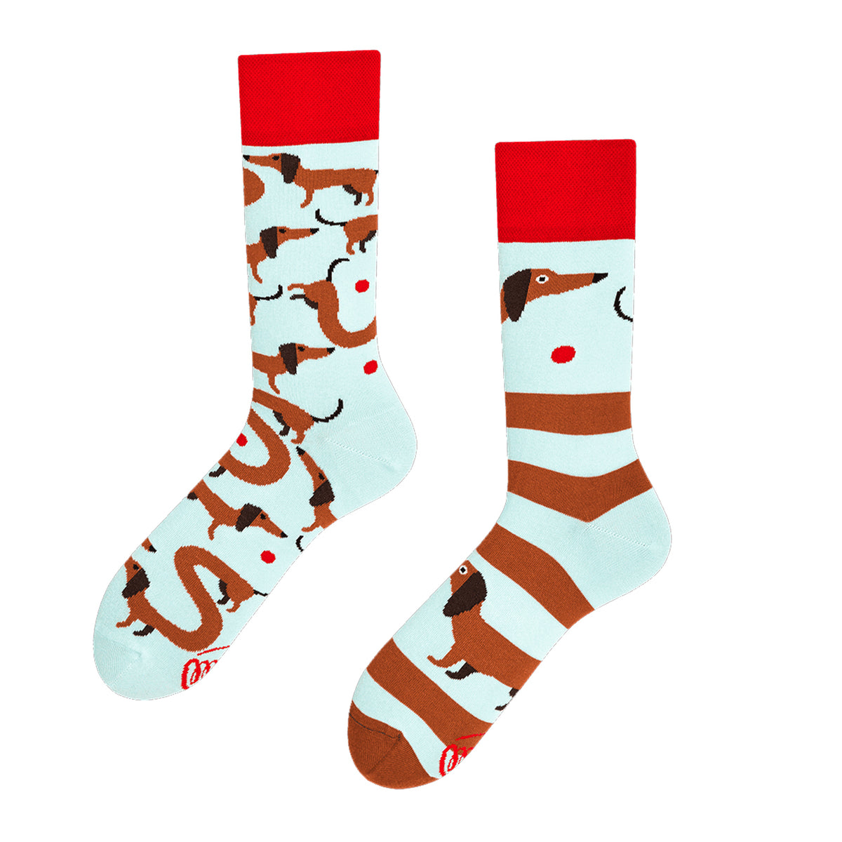 Socken - Dackel