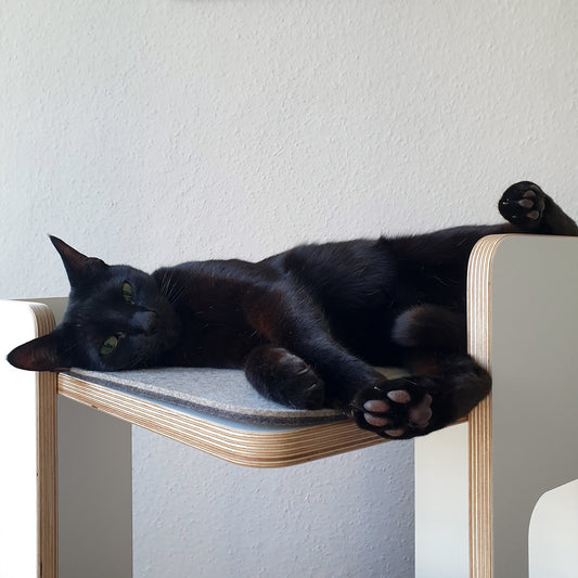 Praktisch fürs HomeOffice mit Katzen