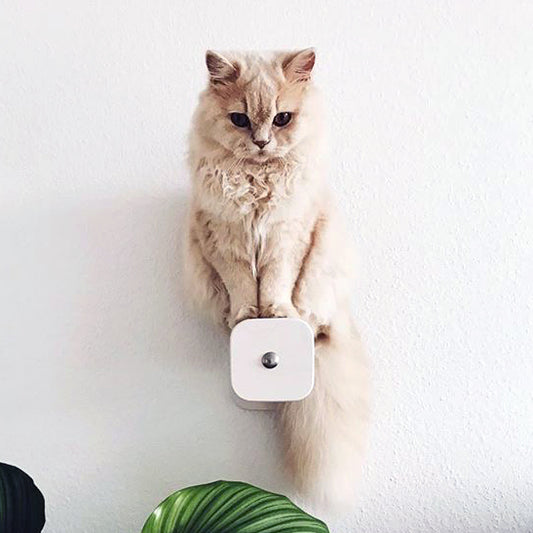Logenplatz im Wohnzimmer