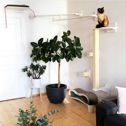 Neue Wohnung - neue Kletterlandschaft