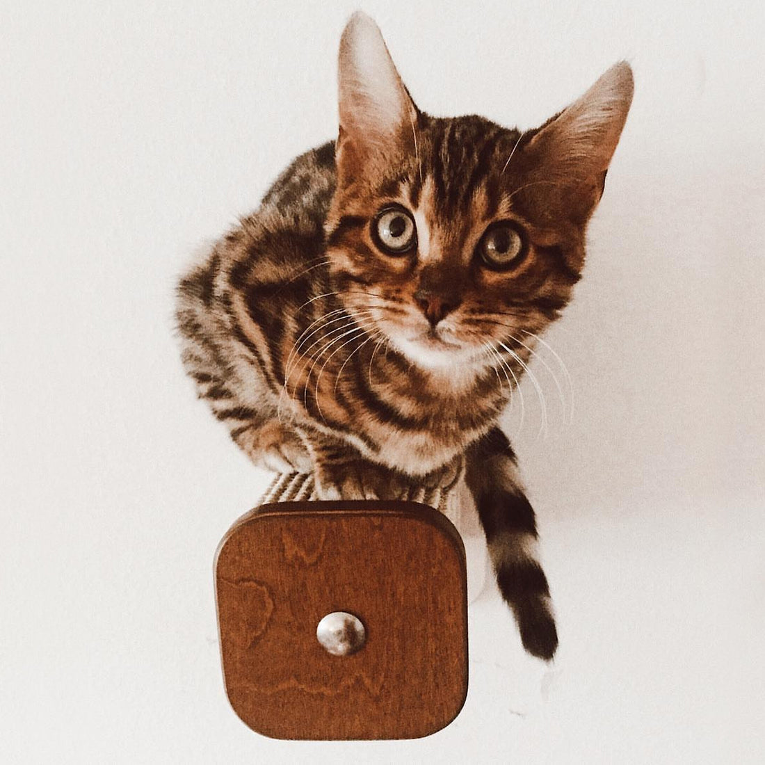 Eine Portion Kletterabenteuer
