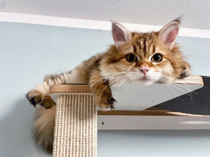 Cliffhänger | KLETTER-KRATZSTAMM mit HÄNGEMATTE aus Sisal für Katzen - Kratzsäule 118cm, 148cm