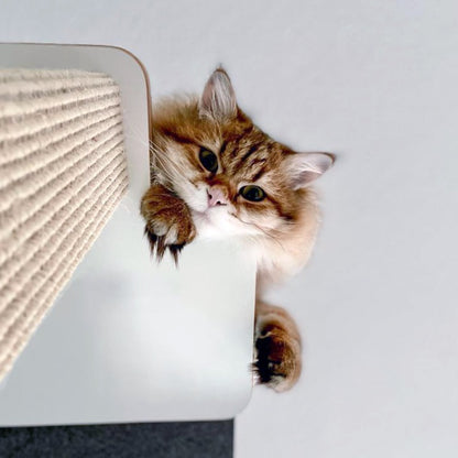 Cliffhänger | KLETTER-KRATZSTAMM mit HÄNGEMATTE aus Sisal für Katzen - Kratzsäule 118cm, 148cm