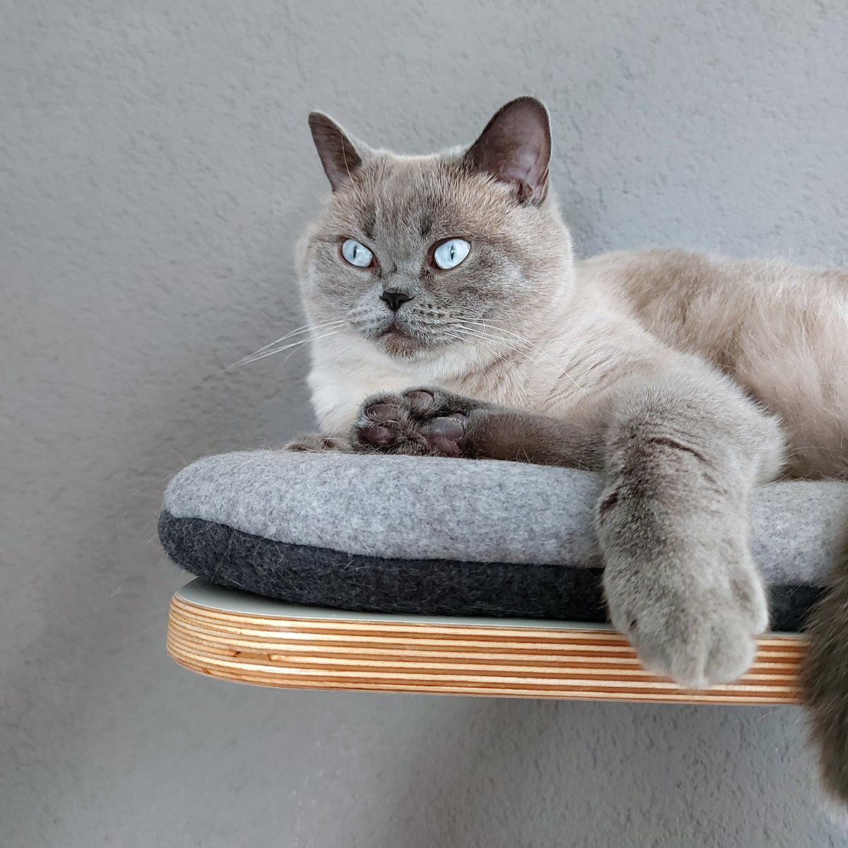 Long sleeper | WALL-MOUNTED LOUNGER for cats - white