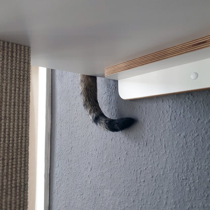 Detailaufnahme des Plateaus eines Kletter-Kratzstammes von unten. Ein Katzenschwanz baumelt herunter.