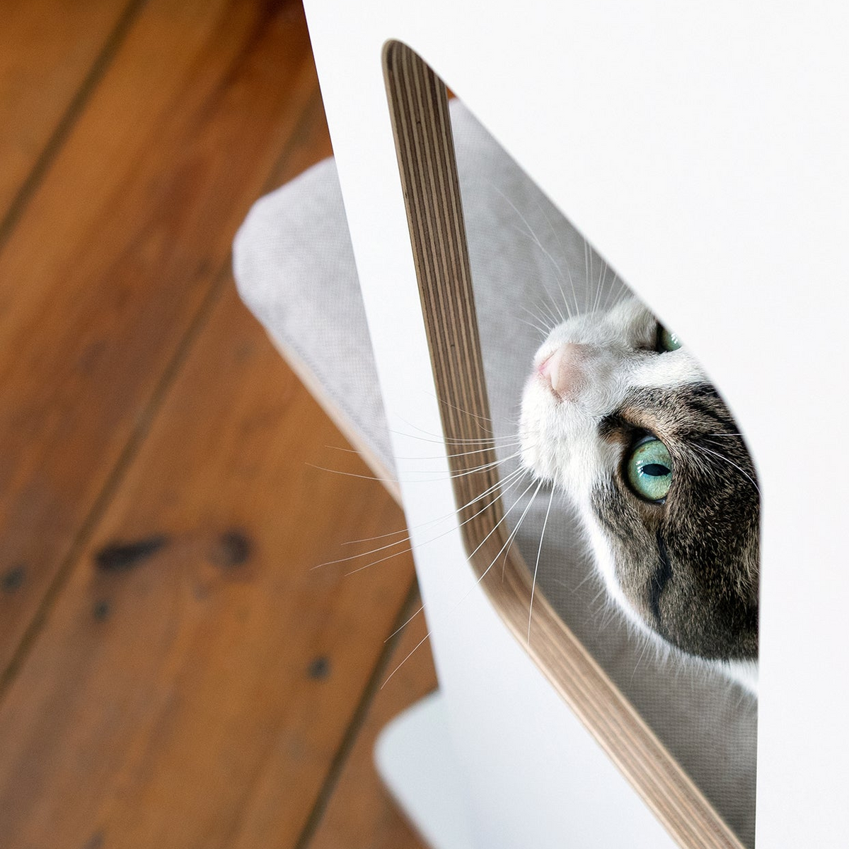 SCRATCH & REST TOWER for cats with scratching surface
