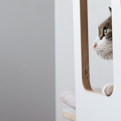 SCRATCH & REST TOWER for cats with scratching surface