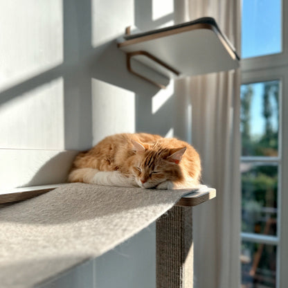 Cliffhänger | KLETTER-KRATZSTAMM mit HÄNGEMATTE aus Sisal für Katzen - Kratzsäule 118cm, 148cm