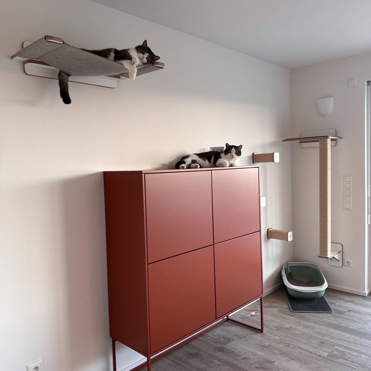 Katzensprung | HÜPFSTAMM für Katzen - Sisal Kletterstufe für die Wand - Kratzstamm 20cm