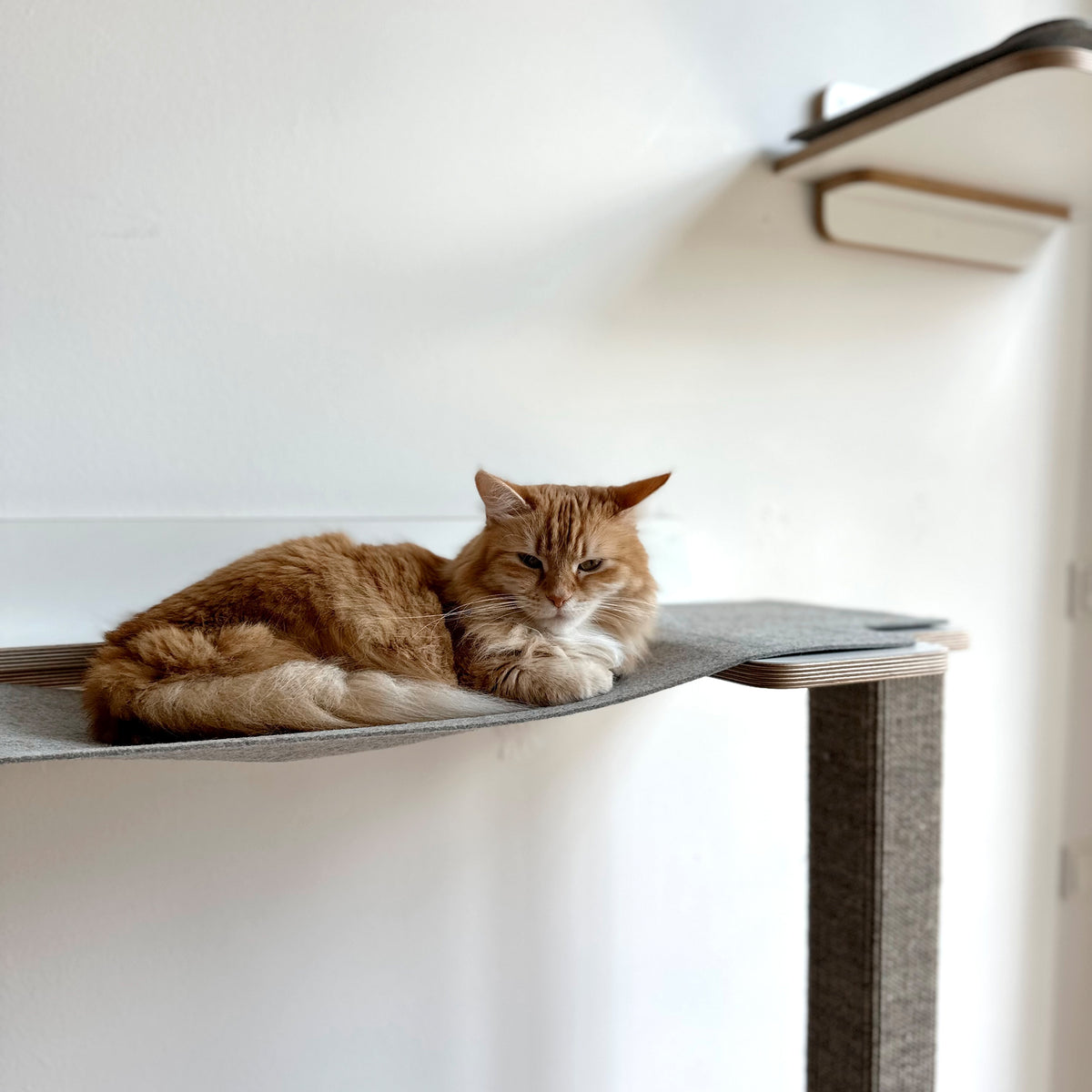 Cliffhänger | KLETTER-KRATZSTAMM mit HÄNGEMATTE aus Sisal für Katzen - Kratzsäule 118cm, 148cm