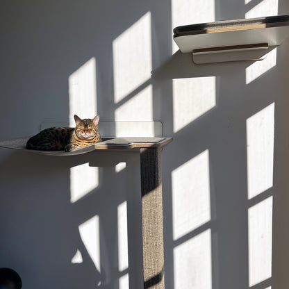 Cliffhänger | KLETTER-KRATZSTAMM mit HÄNGEMATTE aus Sisal für Katzen - Kratzsäule 118cm, 148cm