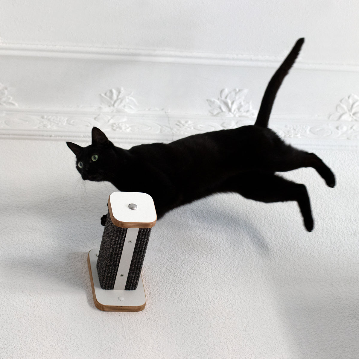 KATZENARTistik | Kletterwand Set - 1 KLETTERSTAMM + 2 Hüpfstämme