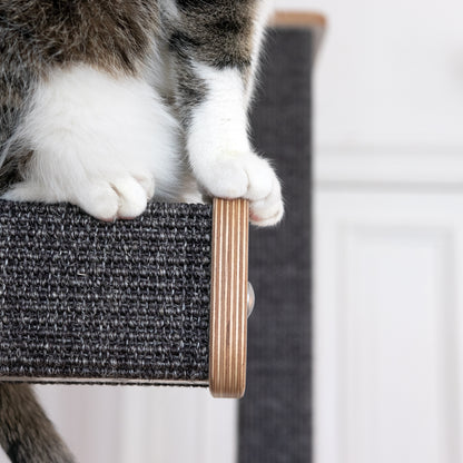 Ein Hüpfstamm wird im Detail dargestellt. Auf der Kletterstufe sitzt eine Katze, die ihre Pfötchen auf die Blende gestellt hat. Die Sisalfarbe ist anthrazit.