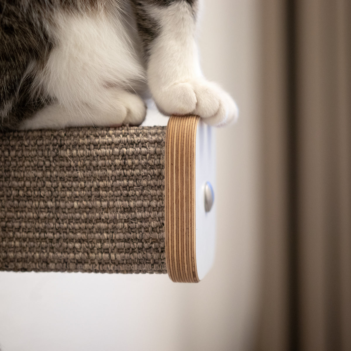 Ein Hüpfstamm wird im Detail dargestellt. Auf der Kletterstufe sitzt eine Katze, die ihre Pfötchen auf die Blende gestellt hat. Die Sisalfarbe ist grau-braun.