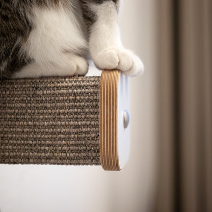 Ein Hüpfstamm wird im Detail dargestellt. Auf der Kletterstufe sitzt eine Katze, die ihre Pfötchen auf die Blende gestellt hat. Die Sisalfarbe ist grau-braun.