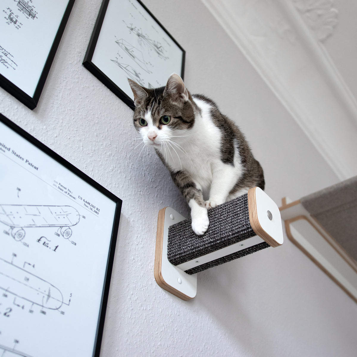 Eine getigerte Katze steht absprungbereit auf einem Hüpfstamm. Der Sisal der Kletterstufe ist anthrazit.