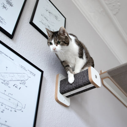 Eine getigerte Katze steht absprungbereit auf einem Hüpfstamm. Der Sisal der Kletterstufe ist anthrazit.