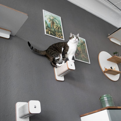 Aufnahme von zwei Hüpfstämmen, die wie eine Treppe zueinander positioniert sind. Auf der höher gelegenen Kletterstufe steht eine Katze, die absprungbereit ist.