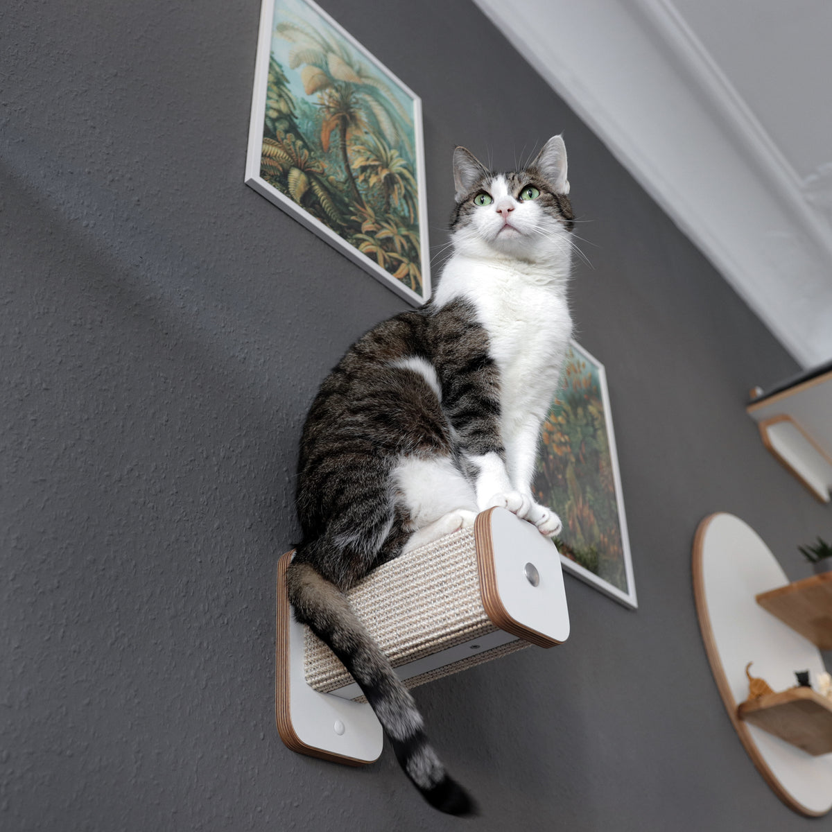 Eine Katze sitzt auf einem Hüpfstamm. Die Kletterstufe ist von schräg unten abgebildet, sodass der sandfarbene Sisal schön zur Geltung kommt.