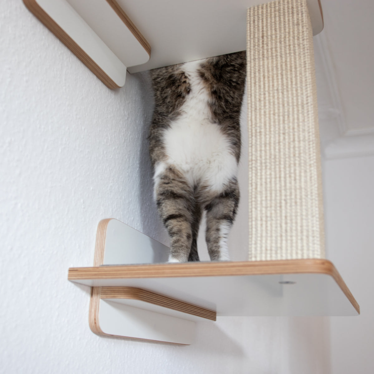 Doppeldecker | WAND-KRATZBAUM für Katzen - Kratzsäule 38cm, 78cm
