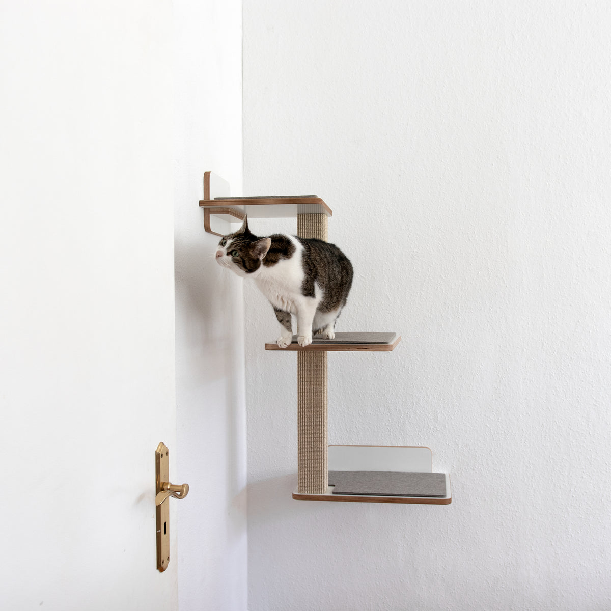 Doppeldecker | WAND-KRATZBAUM für Katzen - Kratzsäule 38cm, 78cm