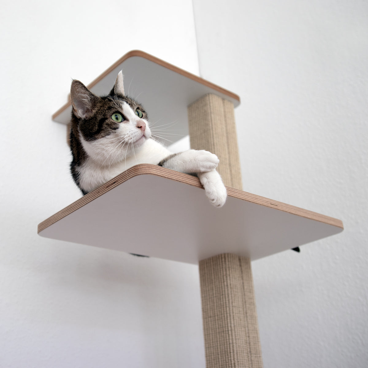 Doppeldecker | WAND-KRATZBAUM für Katzen - Kratzsäule 38cm, 78cm