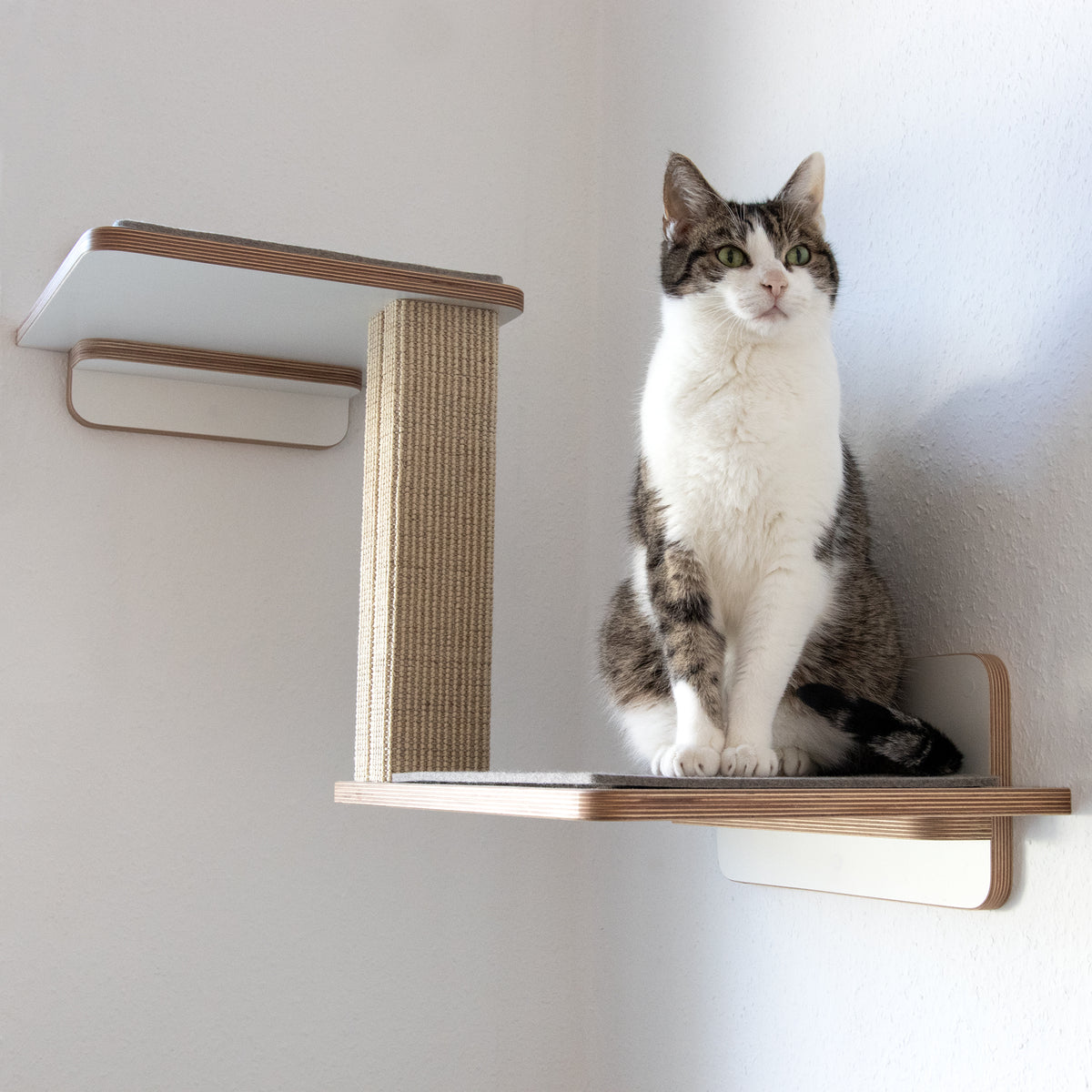Doppeldecker | WAND-KRATZBAUM für Katzen - Kratzsäule 38cm, 78cm