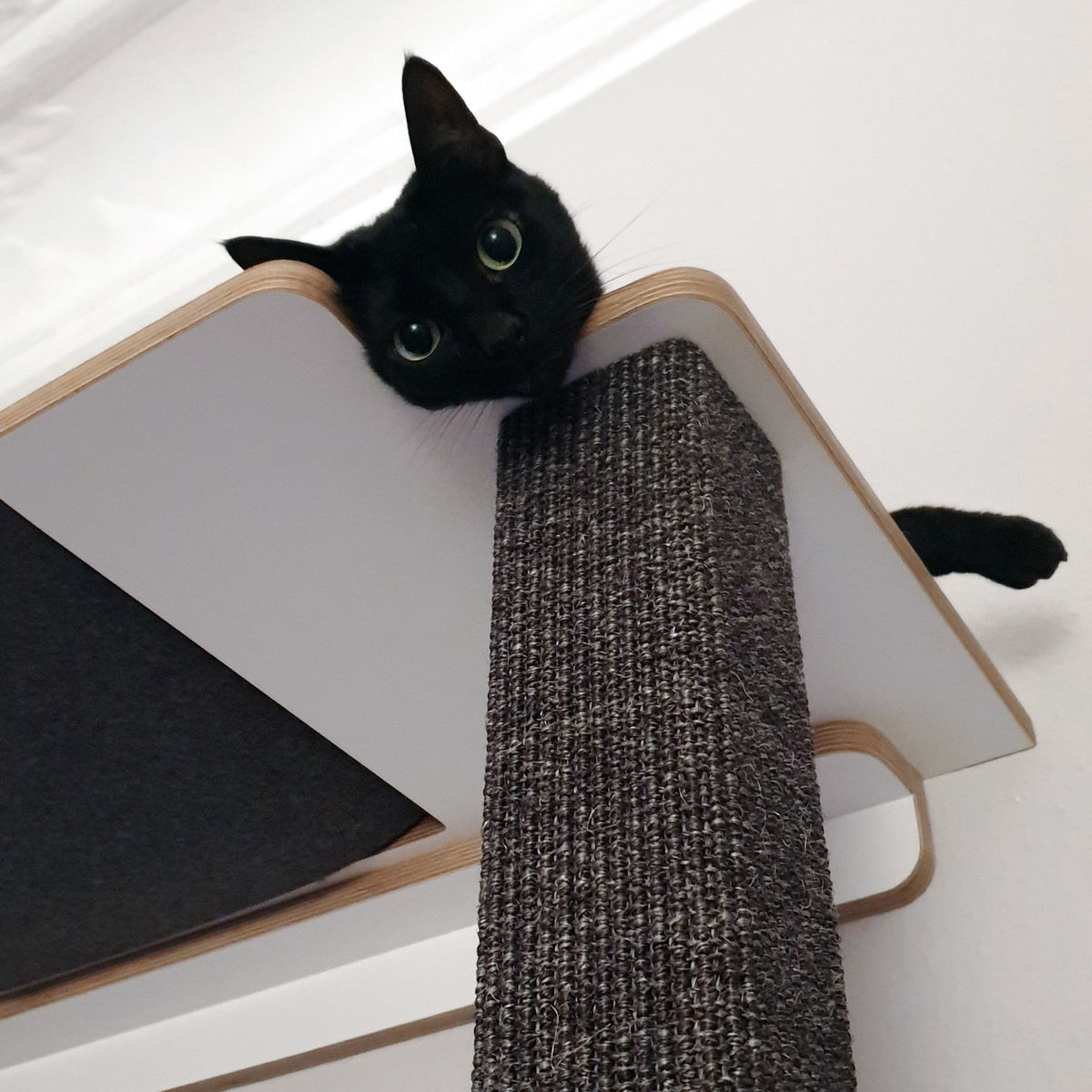Detailaufnahme von dem Plateau des Kratzbaums mit Hängematte. Eine schwarze Katze blickt in die Kamera.