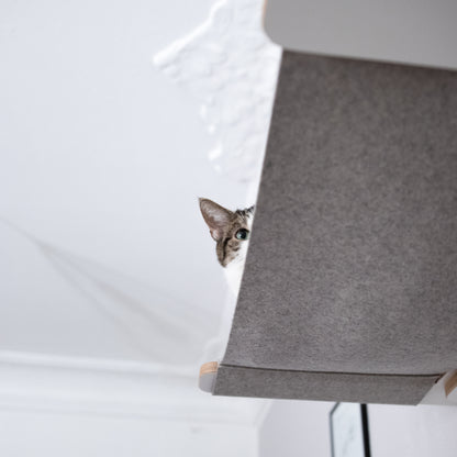 Detailaufnahme der hellgrauen Hängematte auf der eine Katze liegt.