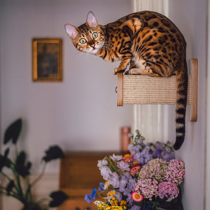 Stufentiger | HÜPFSTAMM für Katzen - Sisal Kletterstufe für die Wand - Kratzstamm 20cm
