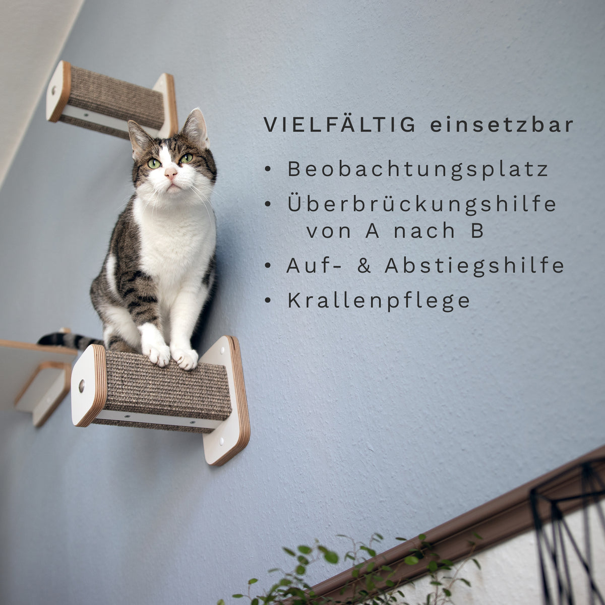 Eine getigerte Katze sitzt absprungbereit auf einem Hüpfstamm. Der Sisal der Kletterstufe ist grau-braun. 