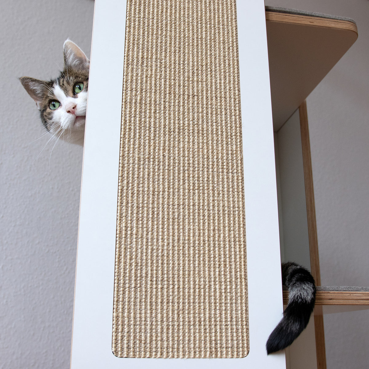 SCRATCH & REST TOWER for cats with scratching surface
