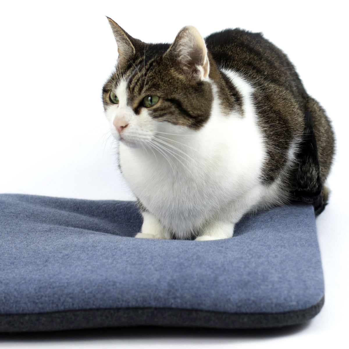 Cuddle pillow