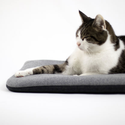 Cuddle pillow